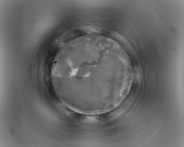 X0000110320573200906042046