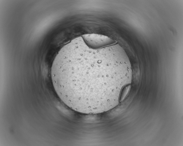 X0000110320574200906042046