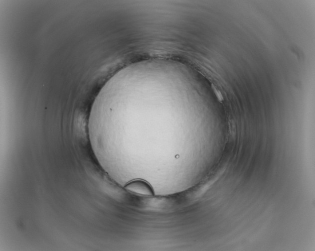 X0000110320575200906042046