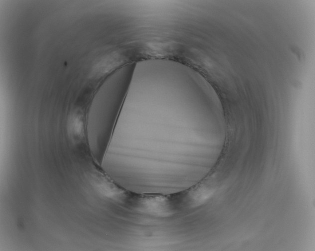 X0000110320576200906042046