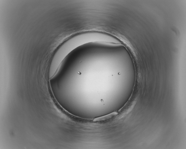 X0000110320577200906042045