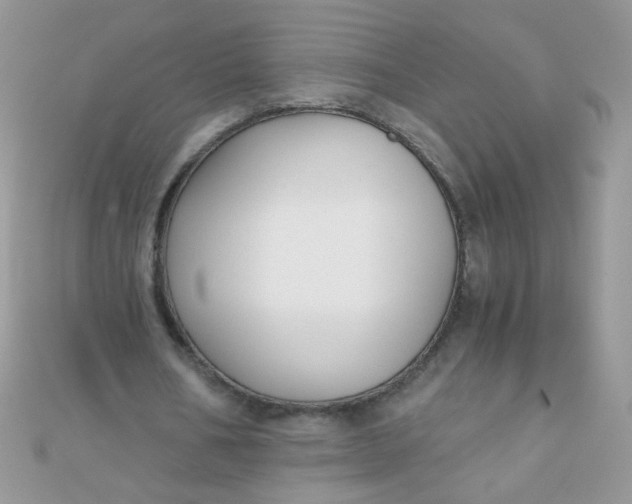 X0000110320578200906042045