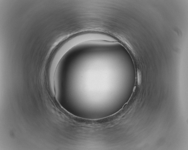 X0000110320579200906042045