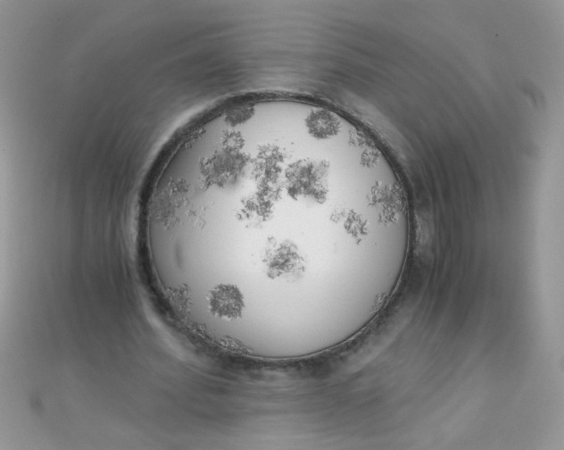 X0000110320580200906042045