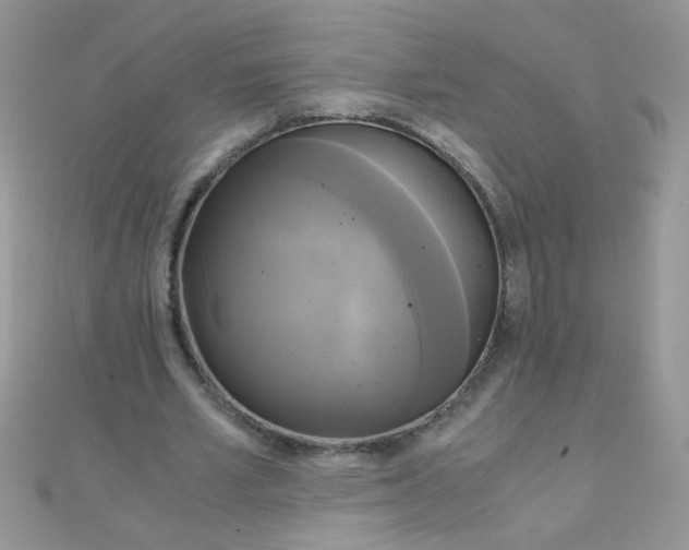 X0000110320581200906042045