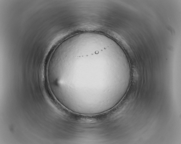 X0000110320582200906042045