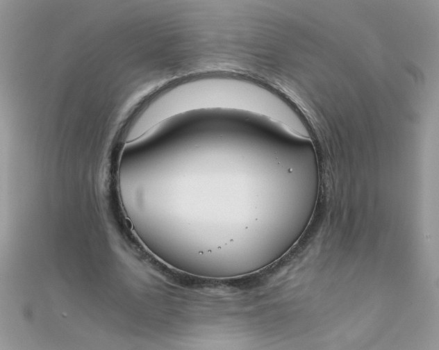 X0000110320583200906042045