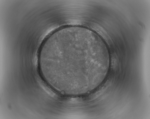 X0000110320584200906042045