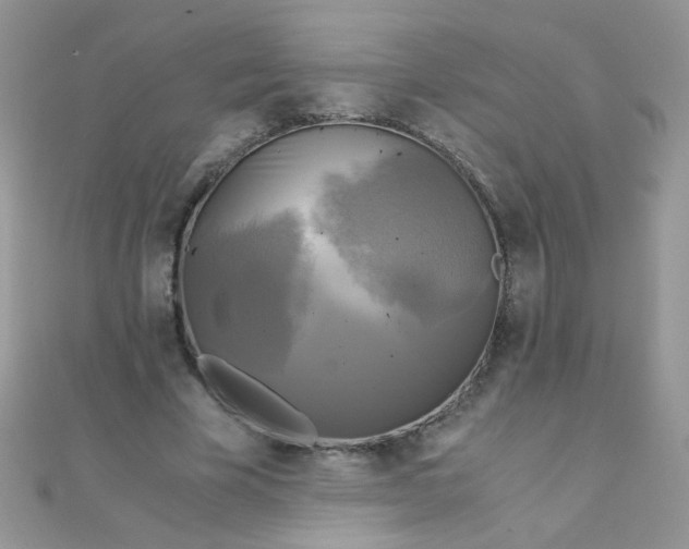 X0000110320585200906042045