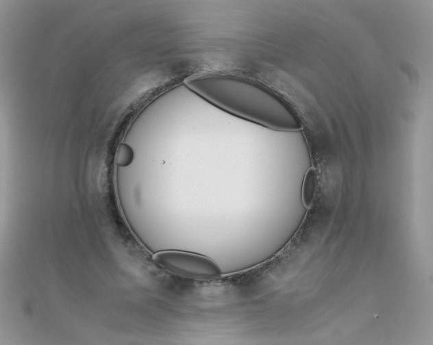 X0000110320587200906042045