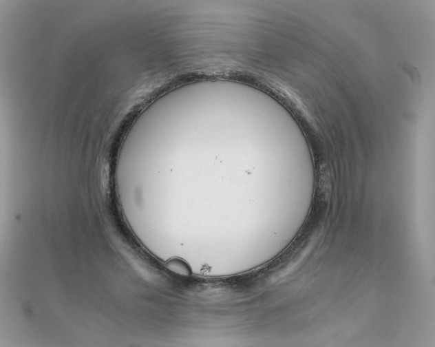 X0000110320589200906042045