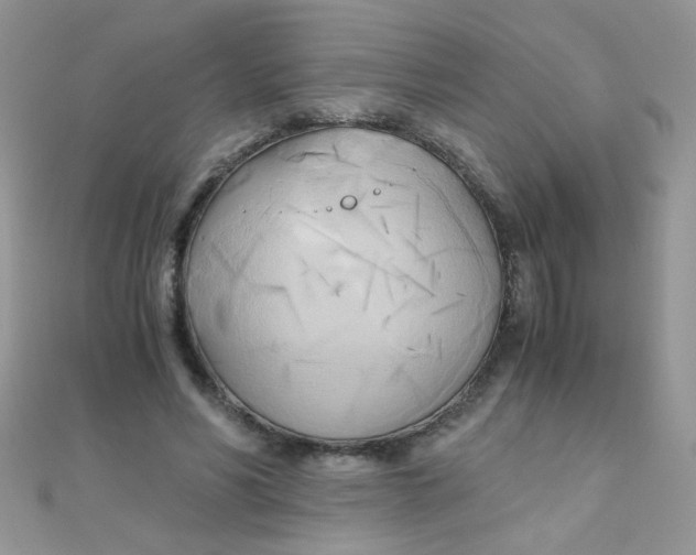 X0000110320590200906042045