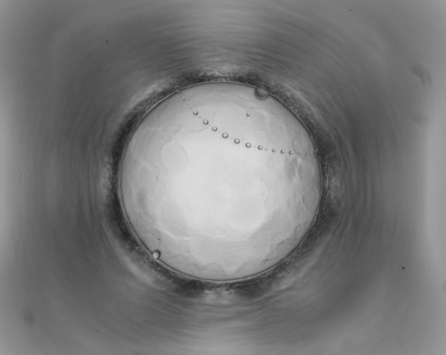 X0000110320591200906042045