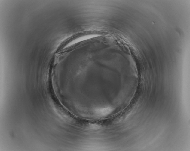 X0000110320592200906042045