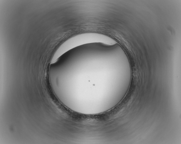 X0000110320593200906042045