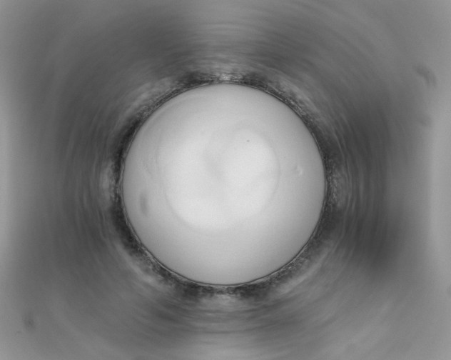 X0000110320594200906042045