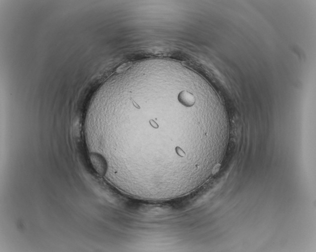 X0000110320597200906042045