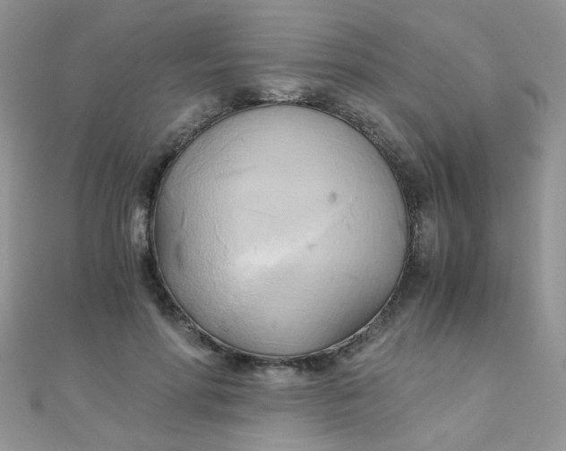 X0000110320598200906042045