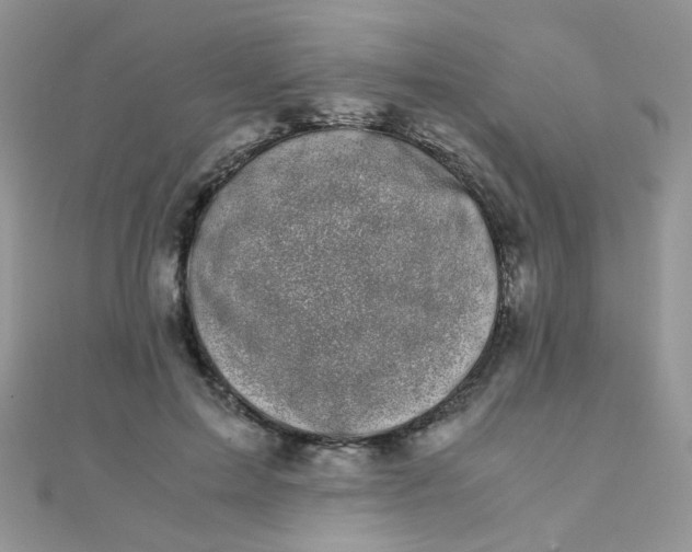 X0000110320599200906042045