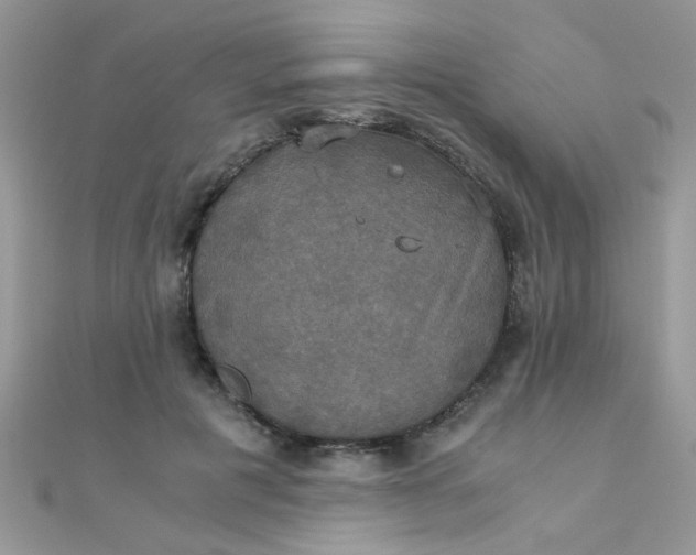 X0000110320601200906042045