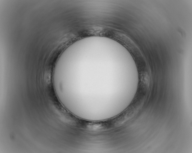 X0000110320602200906042045