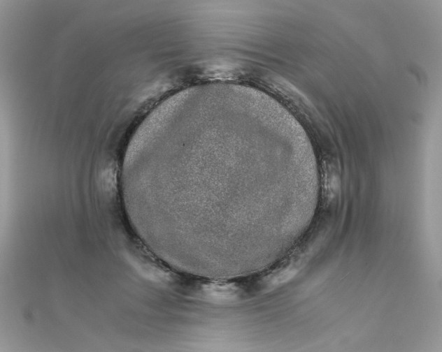 X0000110320603200906042045