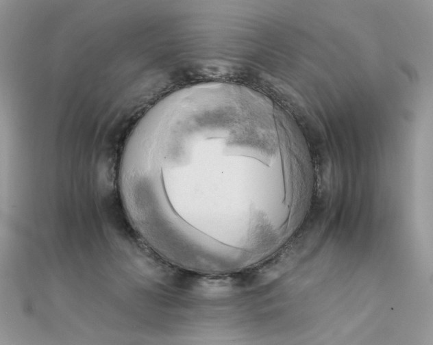 X0000110320606200906042045