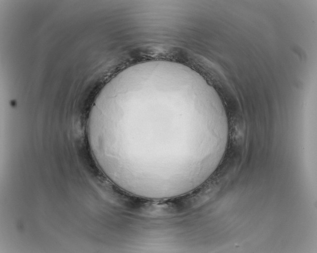 X0000110320607200906042045