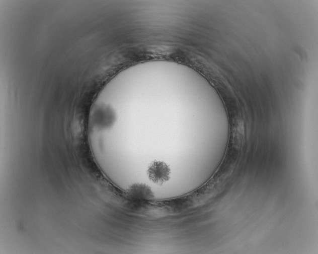 X0000110320608200906042045