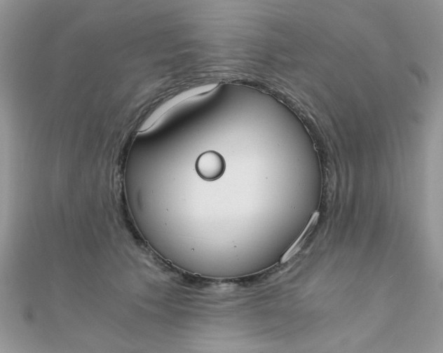 X0000110320609200906042045