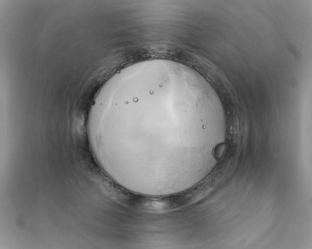 X0000110320610200906042045