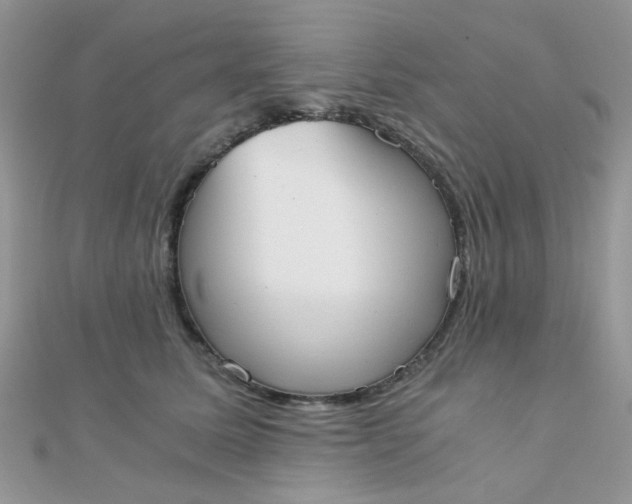 X0000110320611200906042045