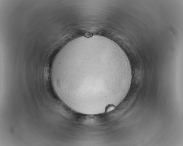 X0000110320612200906042045