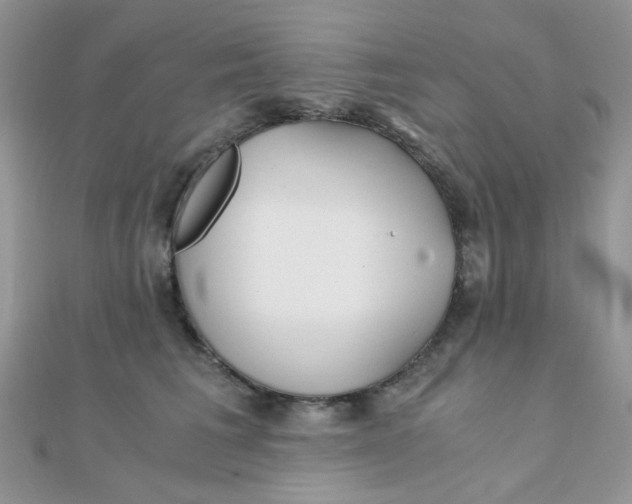 X0000110320613200906042045