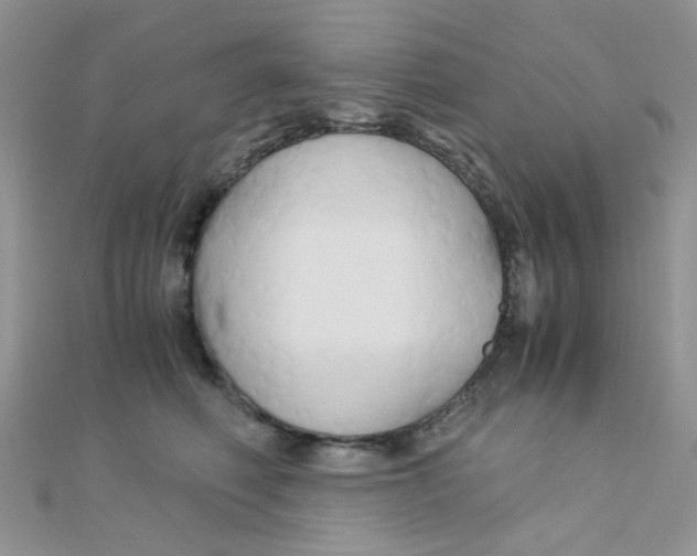 X0000110320614200906042045