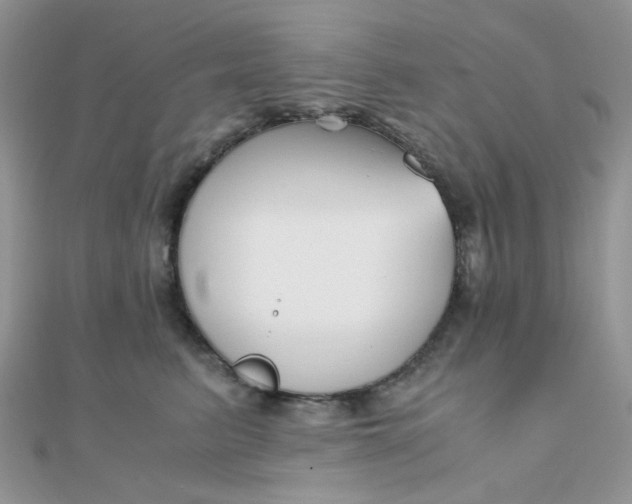 X0000110320615200906042045