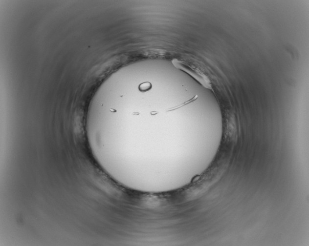 X0000110320616200906042045