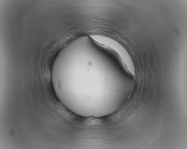 X0000110320617200906042045