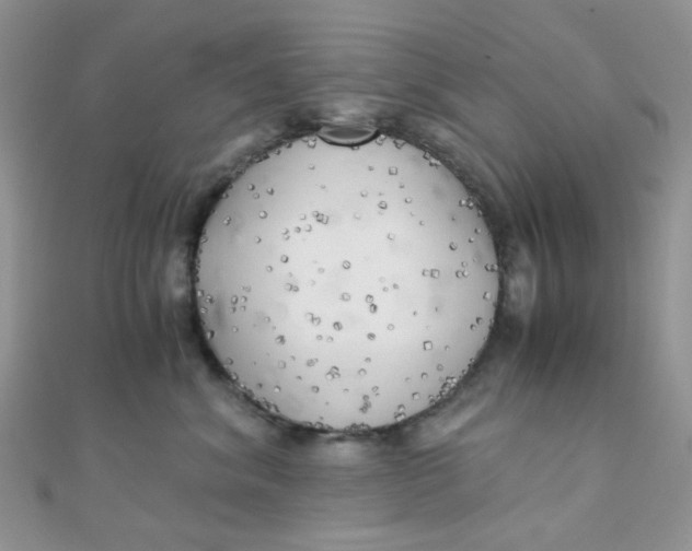 X0000110320620200906042045