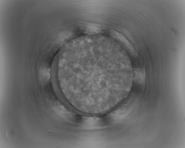 X0000110320621200906042045