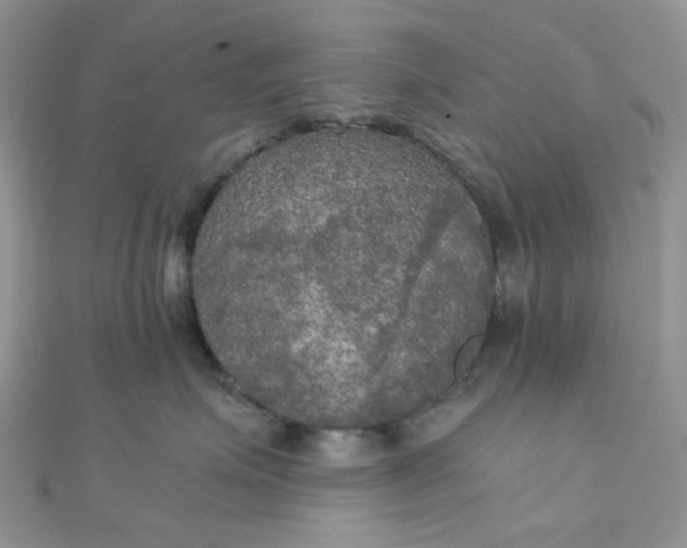 X0000110320623200906042045