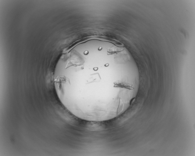 X0000110320624200906042045