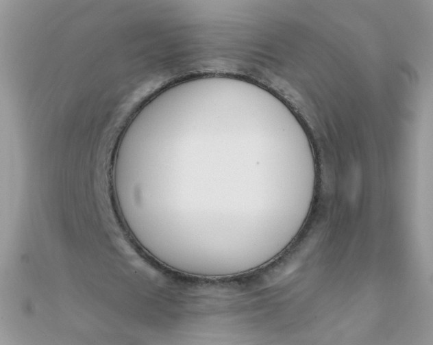 X0000110320625200906042044