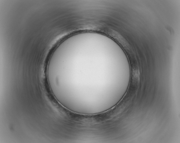 X0000110320628200906042044