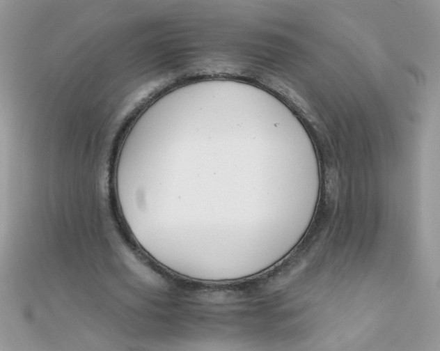 X0000110320629200906042044