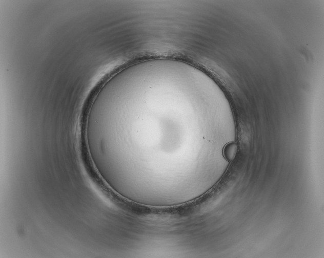 X0000110320630200906042044