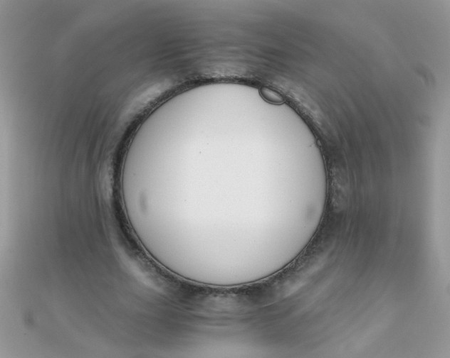 X0000110320631200906042044