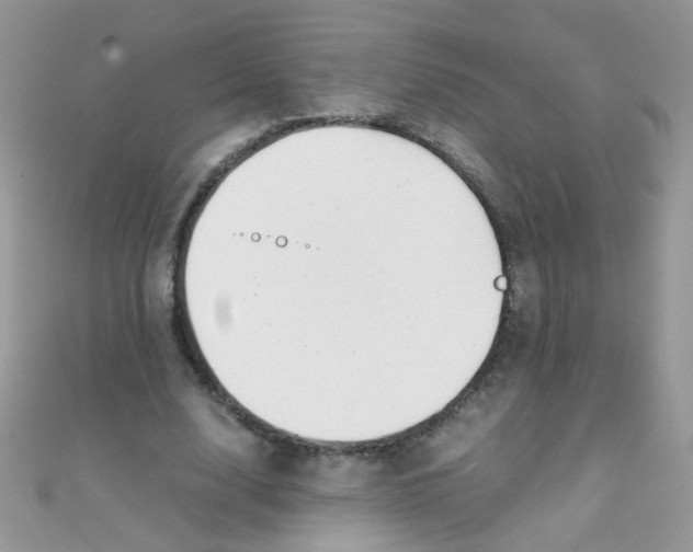 X0000110320632200906042044