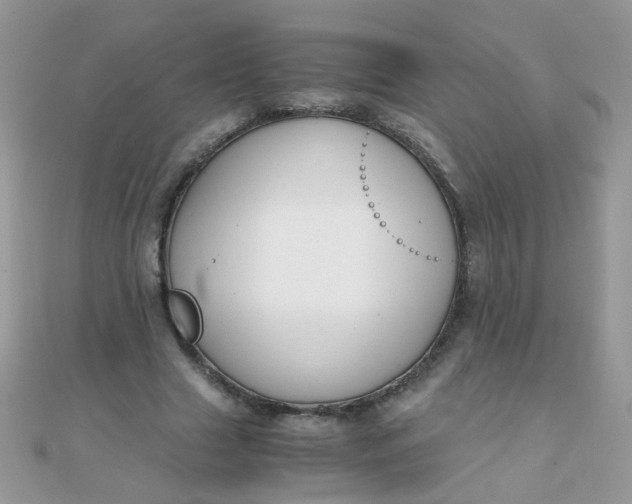 X0000110320633200906042044