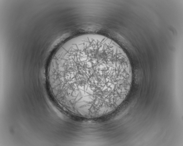 X0000110320634200906042044